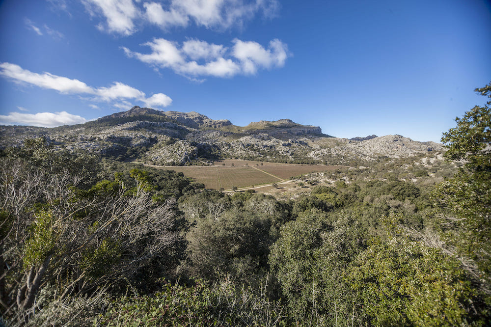 Finca Mortitx en la Sierra de Tramuntana para boda rústica y eventos en Mallorca