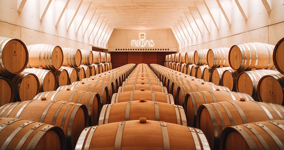 Ribas wine cellar for wedding in Palma de Mallorca