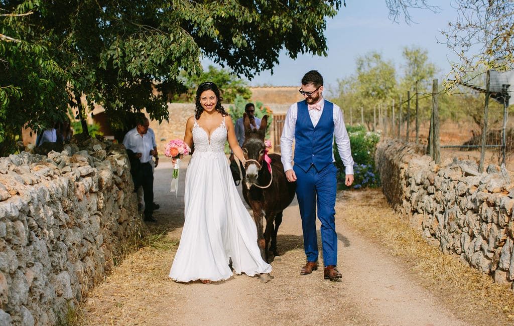 boda rústica en el campo de Mallorca con mascotas en vuestra ceremonia