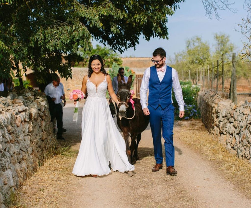 Pets for wedding ceremony in Mallorca
